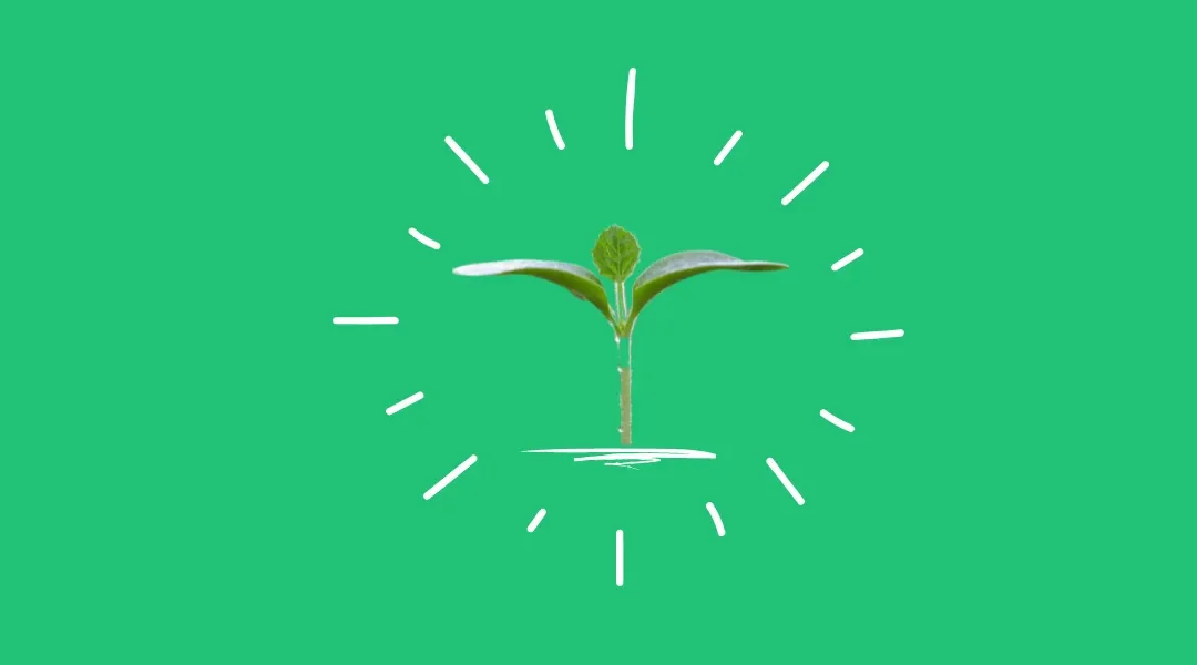 Yes, You Can Use KiwiSaver To Buy Land – Here’s How