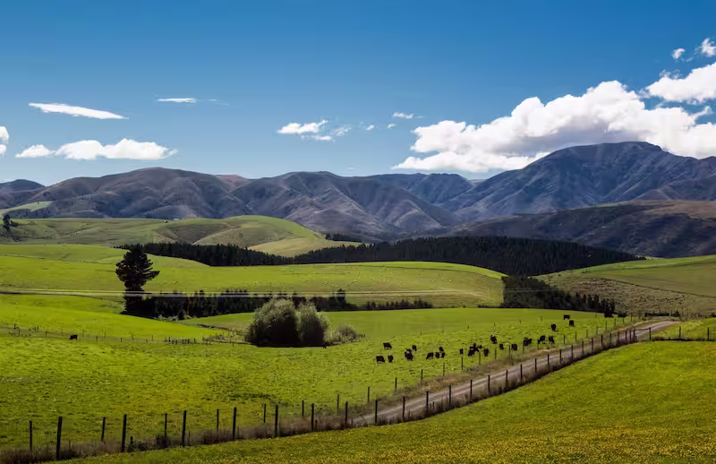 Yes, You Can Use KiwiSaver For Buying Land – Here’s How
